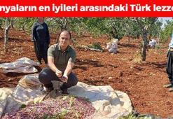 Dünyanın en iyileri listesine Türk damgası! 2. sırada yer alıyor: Tek tek elle toplanıyor, kolesterolü damardan siliyor, damarları genişletiyor!