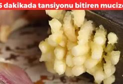 Kolesterolün düşmanı, tansiyonun katili! Ağzınıza atıp 5 dakika bekletmek yetiyor: Tansiyonu anında düşürüyor, kolesterolün kökünü kurutuyor