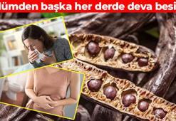 Her sabah 1 tane yiyin! Bağırsak florasını düzenliyor: Vücuda potasyum ve magnezyum yüklüyor