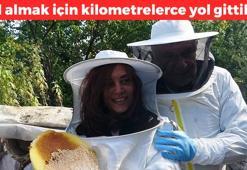 1 kilo bal için 1599 kilometre yol gittiler! Kıyafetini giyen hasada başlıyor: Kolesterolü damardan kazıyıp atıyor, damarları çamaşır suyuyla temizlenmiş gibi yapıyor