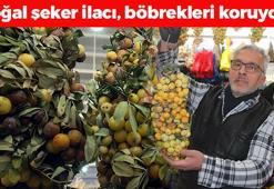 2 yılda 1 doğada kendi kendine yetişiyor: Doğal tansiyon ilacı, kan şekerini dengeleyip böbrekleri diyalizden kurtarıyor!