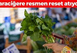Pazarda kapış kapış satılıyor! Demeti 20 TL: Karaciğeri yeniden doğmuş gibi yapıyor, iltihabın kökünü kurutuyor! İnsülin direncini kıran tek besin