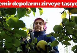 Dünyada rakibi yok! Kilosu 15 TL: Bağırsakları motor gibi çalıştırıp kemikleri güçlendiriyor, demir emilimini artırıyor! Doğanın potasyum kralı