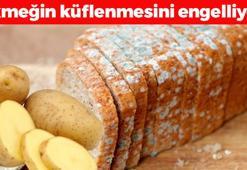 Ekmeğin küflenmesini önleyen yöntem! 1 parça koymak yetiyor, 1 hafta tazelik sağlıyor! Ekmek fırından yeni çıkmış gibi çıtır çıtır kalıyor
