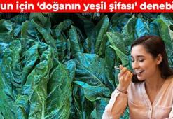 Doğanın yeşil şifası! Damar sertliğini önlüyor: Basura son veriyor, demir eksikliğini bitiriyor
