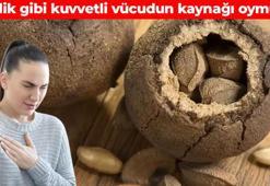 Selenyum zengini besin! Damardaki kolesterolü söküp atıyor: Gün boyu tok tutma garantili