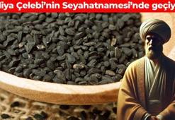 Evliya Çelebi'nin Seyahatname'sinde geçiyor! Kan şekerini dengeliyor: Kolesterolü söküp atıyor