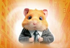 Hamster Kombat günlük şifre 5 Kasım 2024 | Hamster Kombat bugünün şifresi ne? Hamster Kombat günlük şifre nasıl kullanılır?