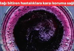 Antioksidan kralı olarak da biliniyor! Suyunu sıkıp bardak bardak içenin kolesterol seviyeleri anında yere çakılıyor, içenin cildini gençleştiriyor