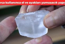 Nasırın kökünü kurutuyor! Mantar ve egzamayı 1 günde geçiriyor, 10 dakika bekletince ayakları pamuk gibi yapıyor, sadece 2 malzemeyle yapılıyor