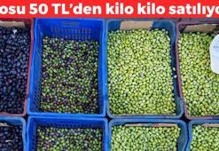 Kilis'te hasadı başladı! Kilosu 50 TL: Canan Karatay da onu öneriyor, kemikleri beton gibi yapıyor, E vitamini kralı