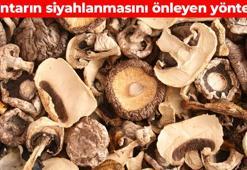 Mantarın siyahlanmasını önleyen yöntem! Haftalarca taze kalacak: Suyun içine birkaç damla eklemek yeter