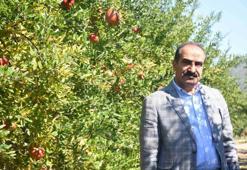 Rusya Türkiye'den tonlarca alıyor! Her gün suyunu sıkıp içmek yetiyor: Kan basıncını anında düşürüp, büzüşüp daralan damarları genişletiyor