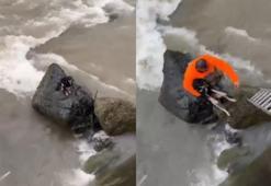 Hopa’da dereye düşen köpek vatandaşların yardımıyla kurtarıldı