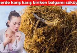 Ciğerde karış karış biriken balgamı söküyor! Grip ve soğuk algınlığını bitiriyor: Geleneksel yöntemi kullanın
