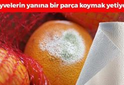 Meyvelerin yanına 1 parça koymak yetiyor! Sebze meyvelerin çürümesini önleyip, 1 hafta boyu tazelik sağlıyor!