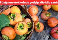 Cudi Dağı eteklerinde yetişiyor! Kilosu 60 TL: Gastrit ve ülserin doğal şifa kaynağı, meyvelerin A vitamini kralı