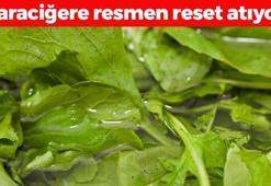 CDC'ye göre en sağlıklı besin seçildi! 'Güç merkezi' olarak da biliniyor, kalsiyum, demir, çinko ne ararsan onda! Karaciğeri yeniden doğmuş gibi yapıyor