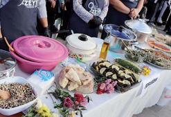 Milas Zeytin Hasat Şenliği başladı