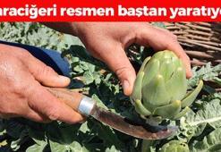 Tanesi sadece 30 TL: Karaciğere reset atıyor, kolesterol seviyelerini anında dibe çekiyor! Demir zengini mucize