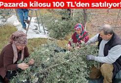 Pazarda kilosu 100 TL'den satılıyor: Son yılların en verimli hasadı: Kalbi saat gibi çalıştıran besin