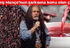 Barış Manço'nun şarkısına konu oldu! Bin derde deva oluyor: Çayını yapıp bardak bardak için