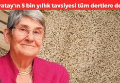 5 bin yıllık sır ortaya çıktı! Canan Karatay’ın sabah tavsiyesi: Her sabah 1 kaşık yiyin, vücudu zırh gibi koruyor