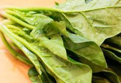 Bağırsakları anında çözüyor! Kabızlığa son verip C vitamininde limonu 30'a katlıyor! Doğada kendiliğinden yetişen mikrop öldürücü