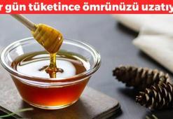 ABD'li bilim insanları açıkladı! Her kaşıkta ömrünüzü uzatıyor: 1 gecede 10 yaş gençleştiriyor