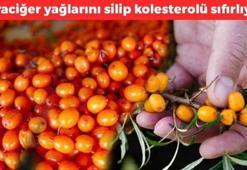 Doğadaki en güçlü Omega-7 kaynağı! Türkiye'de yetişiyor, Ruslar kapış kapış alıyor, kolesterolü sıfırlayıp karaciğerdeki yağı eritiyor!