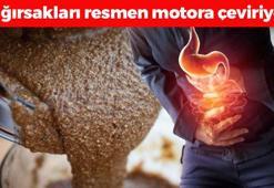 Karaciğeri yeniden doğmuş gibi yapıyor! Tek lokması yetiyor: Kabızlığı bitirip bağırsakları motora çeviriyor, tıkalı damarları açıyor!