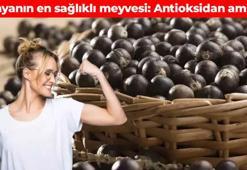 Dünyanın en sağlıklı meyvesi! Adeta antioksidan ambarı: Enerji depolarını fullüyor