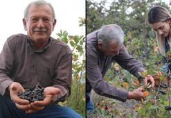 Eşi için başladı, şimdi siparişlere yetişemiyor! Satış rekoru kırıyor: Kilosu 500 TL'den başlıyor