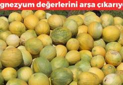 Magnezyum değerlerini arşa çıkarıyor! D, B12 ve E vitamini zengini, 1 tane yiyen 30 yıl doktor yüzü görmüyor