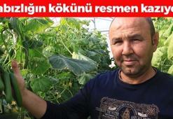 Mersin'de hasadı devam ediyor! Kilosu 30 TL: Kabızlığı kökten bitiriyor, daralan damarları genişletiyor! %95’i su olan tek besin