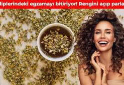 Saç diplerindeki egzamayı bitiriyor! Kopkoyu saçların rengini açıyor: Parlatıp güçlendiren karışım