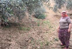 Günlük 3 bin lira veriyor, çalışacak işçi bulamıyor