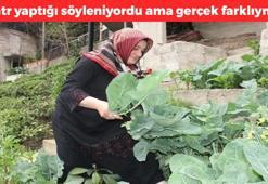 Guatr yaptığını söylüyorlardı ama gerçek bambaşkaymış! Faydaları bilim insanları tarafından kanıtlandı, doğanın C vitamini kralı olarak biliniyor, metabolizma ateşini anında yakıyor