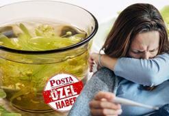 Kışı hastalıksız atlatacaksınız! Uzman isim özellikle işaret etti: Böyle tüketen yaşadı, bağışıklığı ayakta tutan ıhlamur tüyosu!