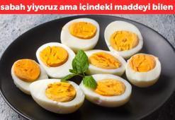 Bu faydasını hiç kimse bilmiyordu! Her kahvaltının yıldızı, kolesterolü tavana çıkarıyor: İçeriğindeki o maddeler sayesinde...