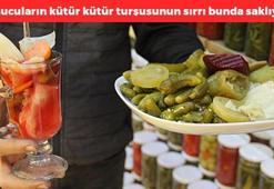 40 yıllık turşucudan turşu tarifi! 1 yıl taze kalıyor: Kütür kütür lezzet, çıtırlığı asla kaybolmayan turşunun püf noktası buymuş