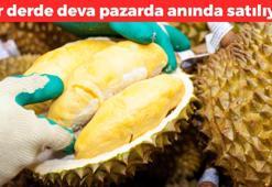 Pazarda gören çantasına atıyor! Doğanın potasyum kralı: C vitamini depolarını fullüyor, tıkalı damarları saniyesinde açıyor, kilosu 200 TL!