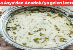 Orta Asya'dan Anadolu'ya geldi! Hem tok tutuyor hem de hastalıklardan koruyor: 1 kaşık içen 10 yıl hastalanmıyor, yüzlerce yıllık şifa kaynağı, saniyesinde kalsiyum depolarını dolduruyor