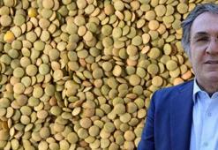 İbrahim Saraçoğlu öneriyor: Damarda biriken kolesterole yağ çözücü etkisi yaratıyor! Kan şekerini terazi gibi dengede tutuyor