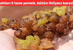 Sabahları 5 tane yemek yetiyor! Japonların favori besini: Kan şekerini dengeliyor, bağırsakları lavabo gibi açıyor, basurun kökünü kazıyor