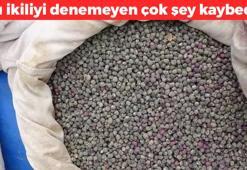 Kimse yüzüne bile bakmıyor! Magnezyum ve potasyum deposu: Birlikte tüketince kemikleri çelik gibi yapıyor, kabızlığı kökünden çözüyor