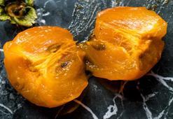 10 kutu antibiyotik gücünde! Bağırsaklardaki toksinleri 1 saatte dışarı atıyor: Vücudu zinde tutup enerji veriyor