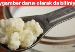 Kalsiyumda peyniri ve inek sütünü solluyor! Yiyen 100 yaşını görmeden ölmez, peygamber darısı olarak da biliniyor