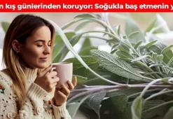 Çetin kış günlerinde hastalıktan koruyor! Her gün 1 bardak için: Gribe karşı duvar oluyor, vücudun soğukla baş edebilmesini sağlıyor