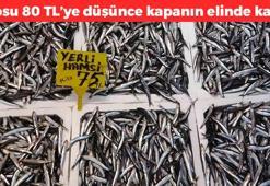 Kilosu 80 TL'ye düştü! Omega-3 depolarını fullüyor: Kemikleri betona çeviriyor, kolesterolün kökünü kazıyor